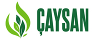 Çaysan